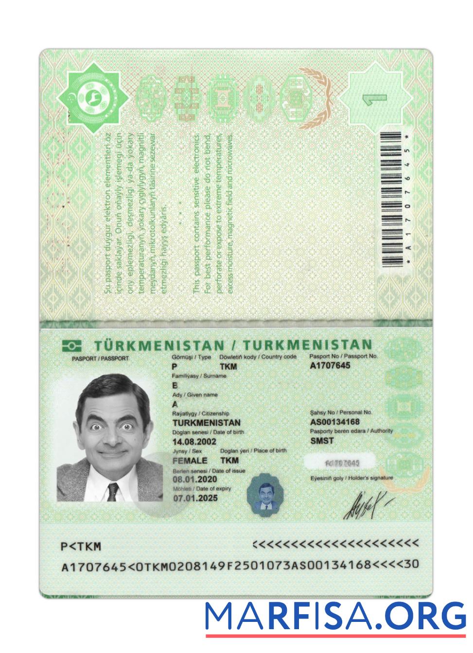 Downloadable Turkmenistan passport 2020 present real example